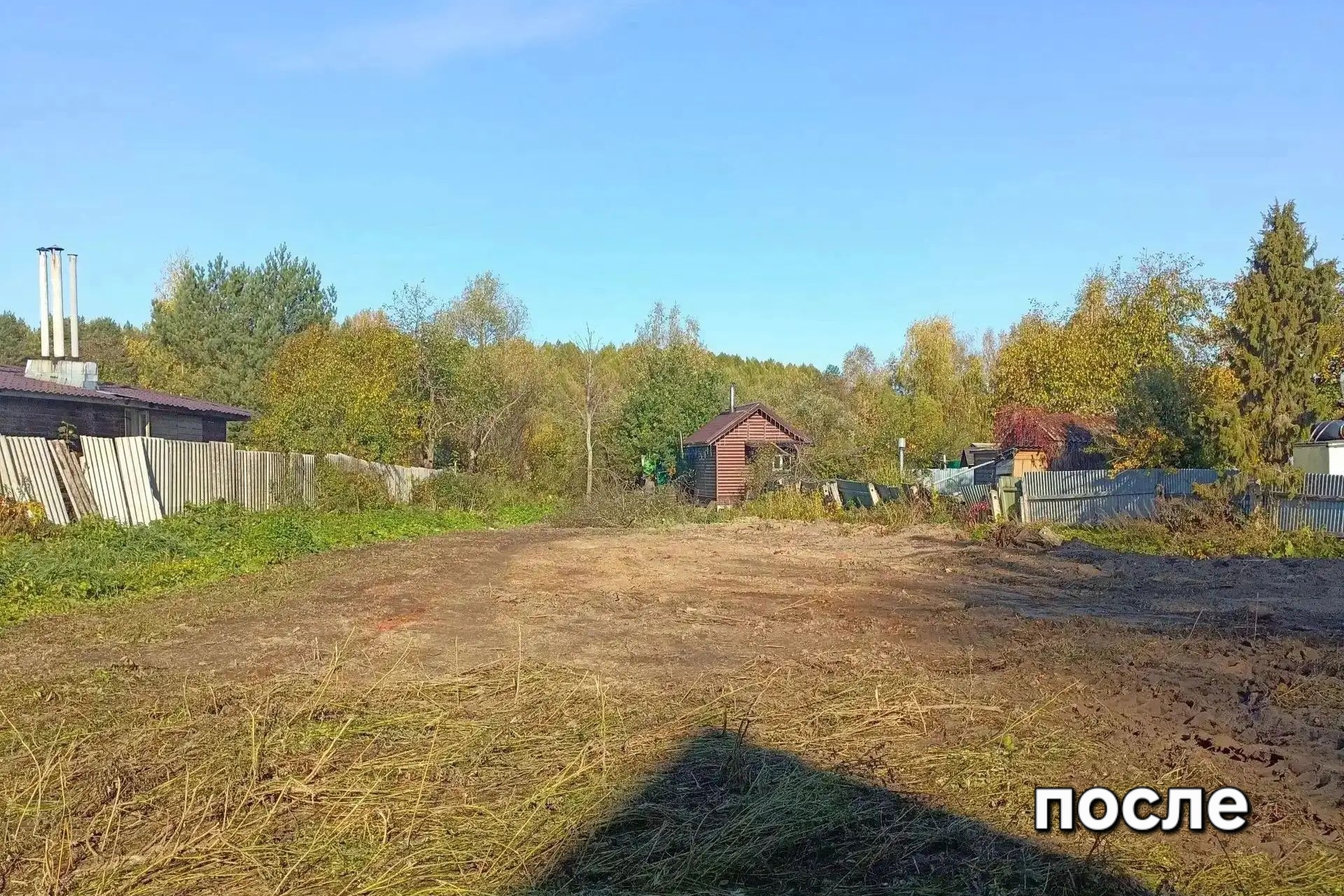 Более 3,5 тысячи фактически погибших объектов демонтировано в Ярославской области