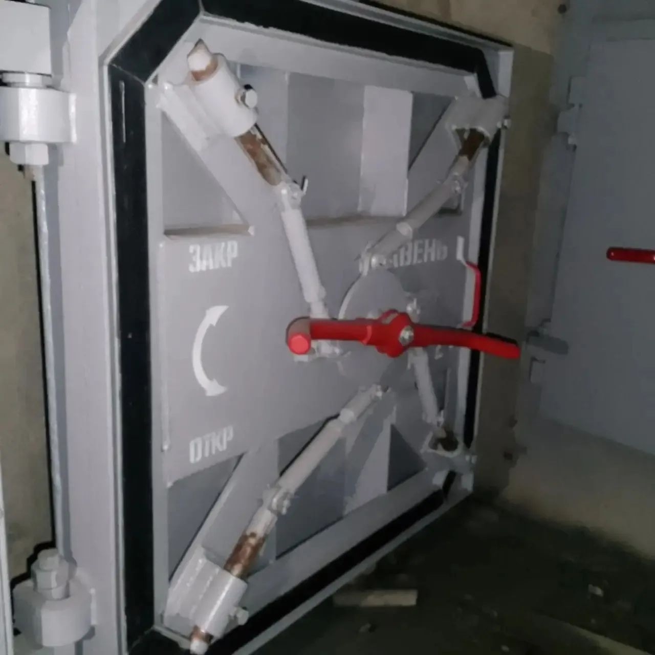 В Ярославле организацию обязали восстановить убежище