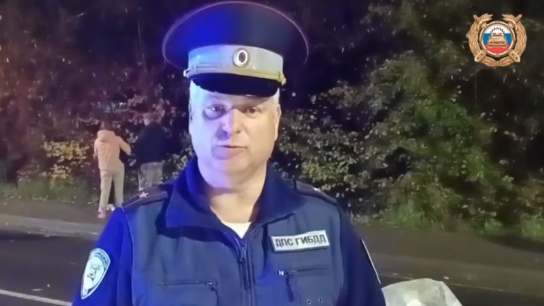 В Ярославской области водитель иномарки насмерть сбил пешехода
