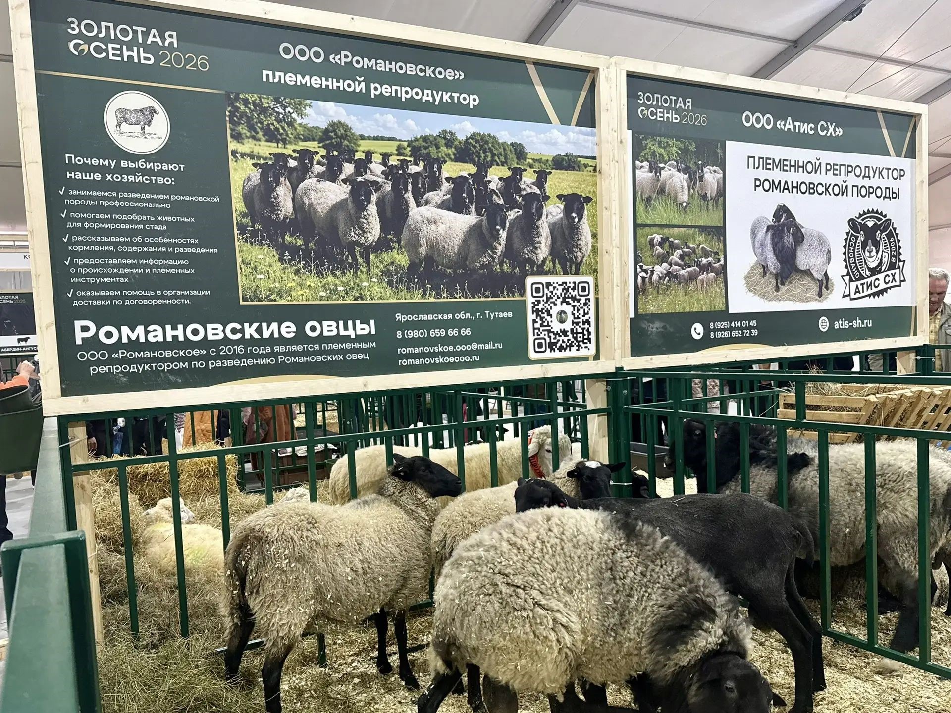 Ярославские предприятия завоевали золотые медали на аграрной выставке «Золотая осень»