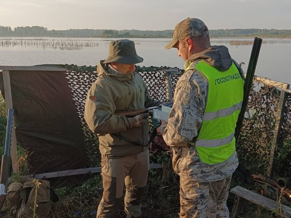 ​Более 1200 рейдов по контролю за соблюдением правил охоты провели в Ярославской области с начала года