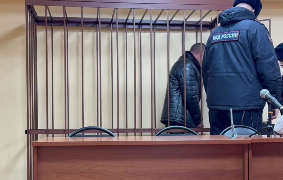Сбившего женщину с ребенком водителя иномарки в Ярославской области отправили в СИЗО