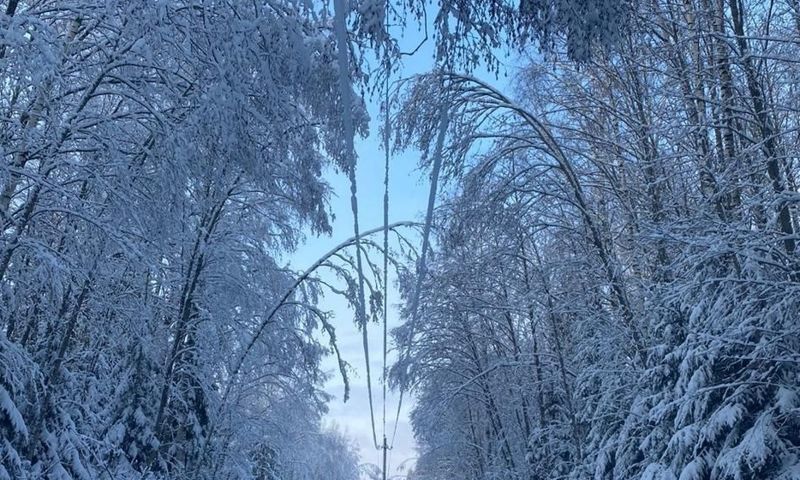 В Ярославской области восстанавливают электроснабжение в 30-градусные морозы