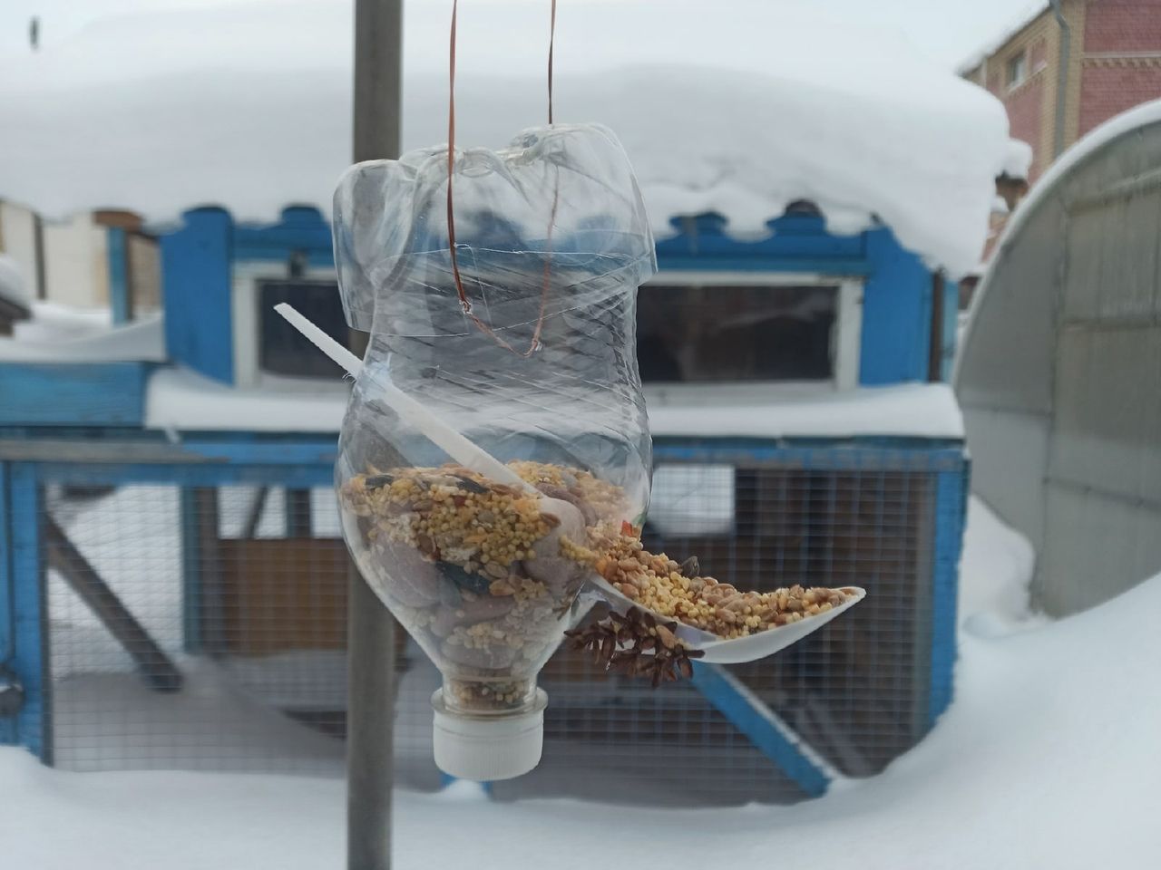В Ярославской области продолжается акция «Покормите птиц зимой»
