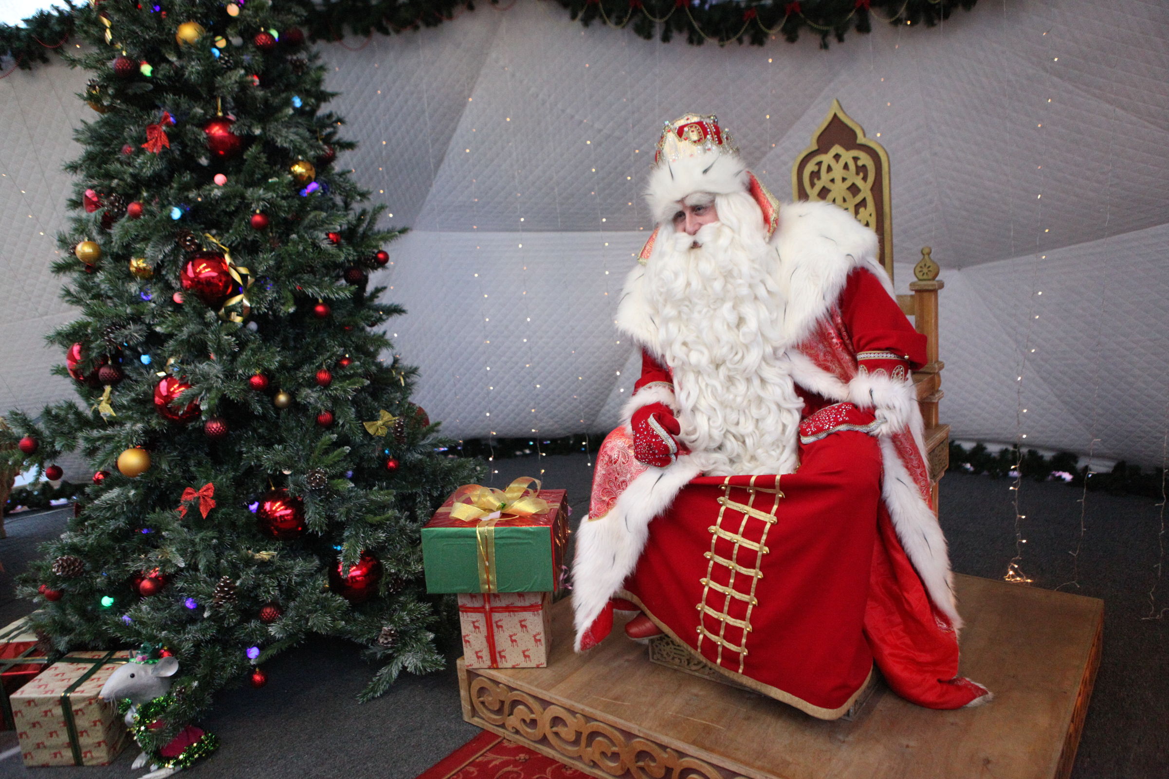 В модельной библиотеке в центре Ярославля открылась приемная Деда Мороза