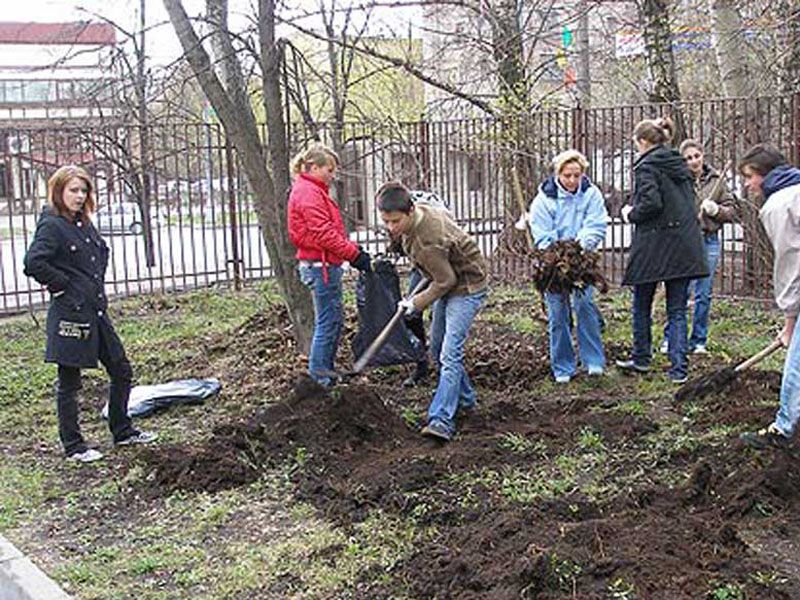 Фото весенних работ в моей семье