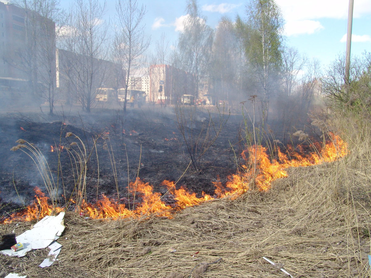 МЧС: опасности, что пожар из Владимирской области перейдет на территорию Ярославского региона, нет