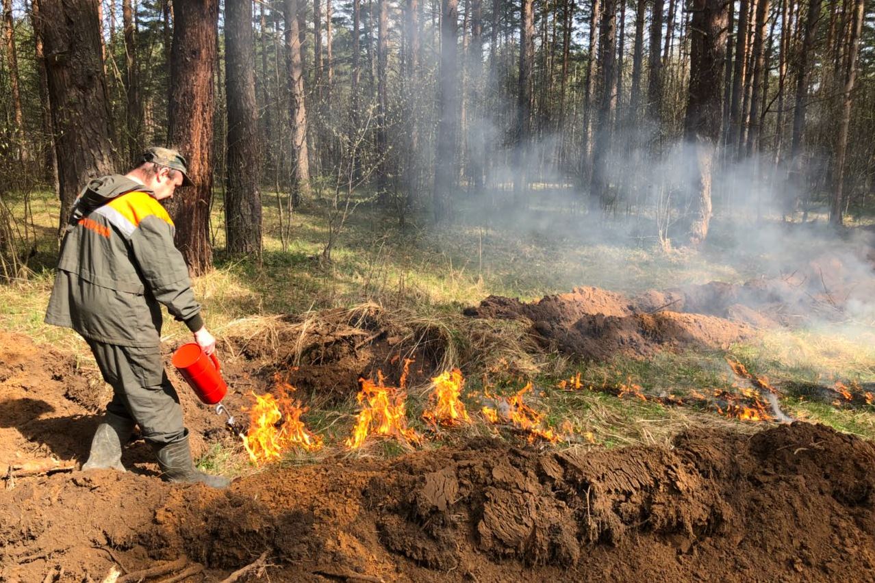 В Ярославской области сохраняется чрезвычайная пожароопасность