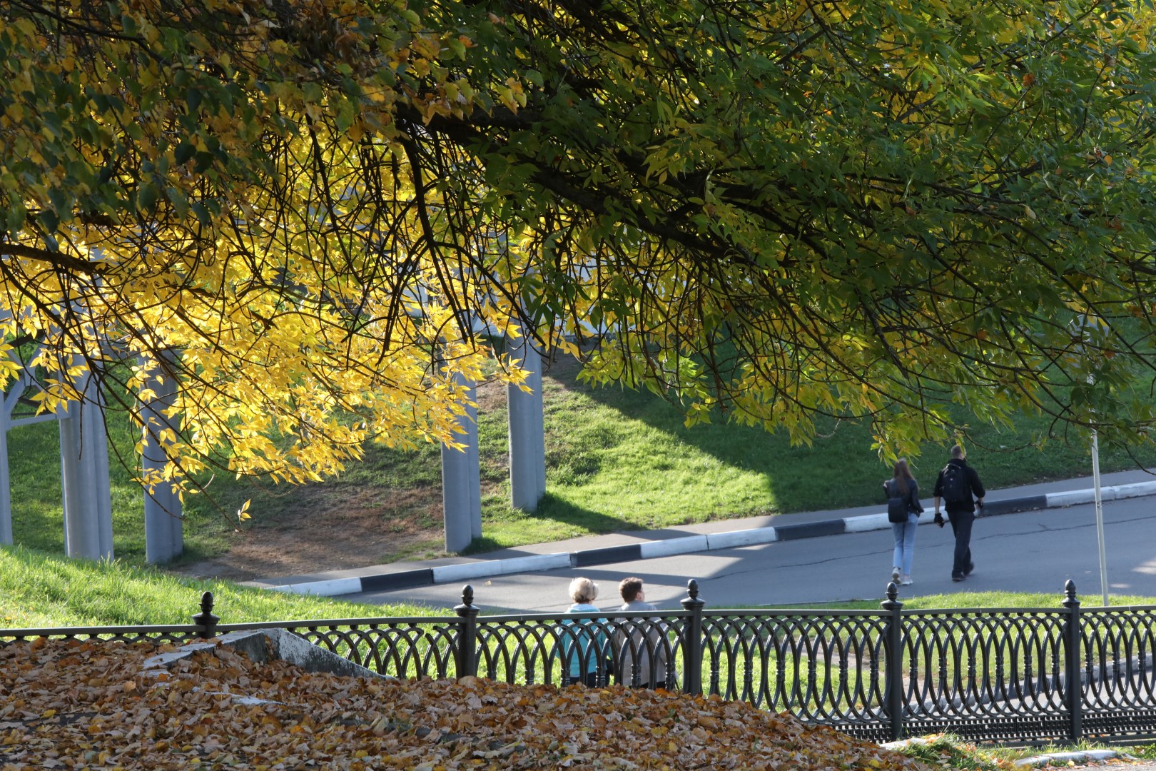 Синоптики предсказывают теплую и солнечную погоду на 1 сентября в Ярославле