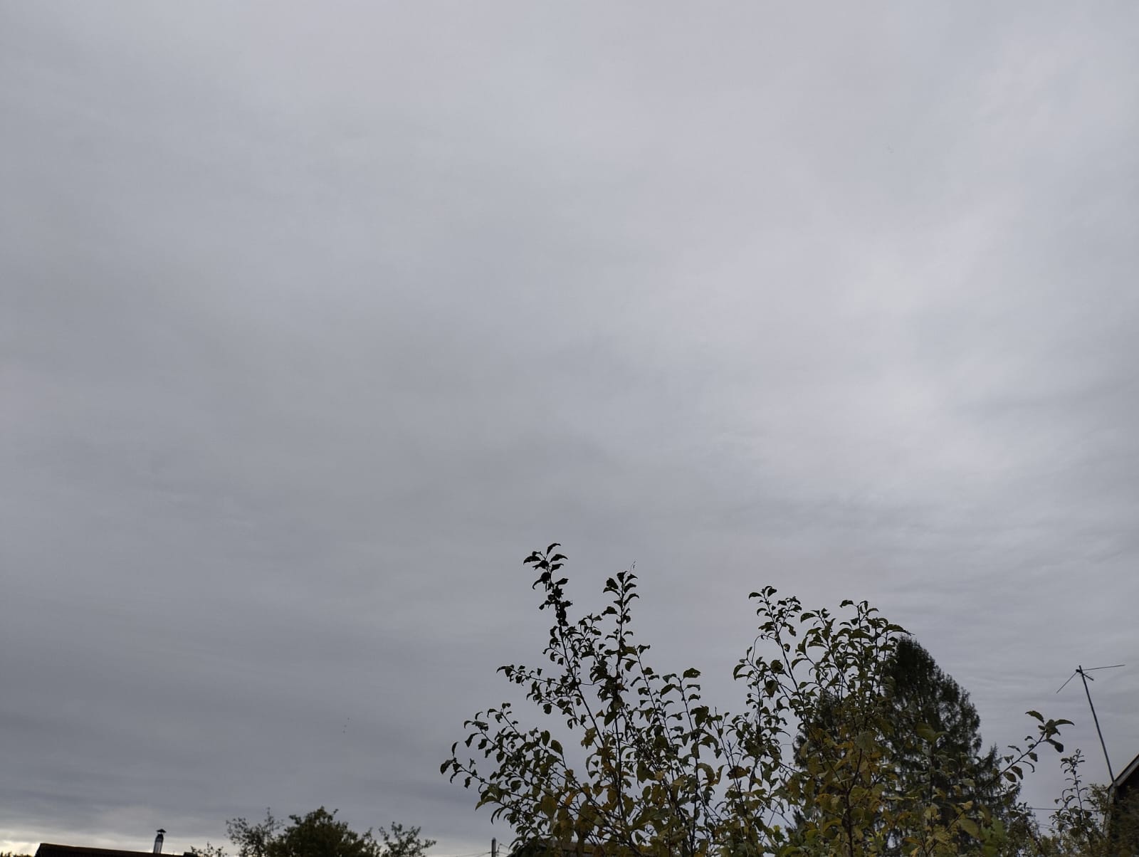 В Ярославской области поднимется сильный ветер: возможны чрезвычайные ситуации