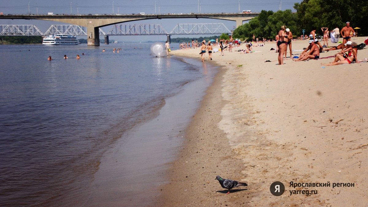 Ярославские пляжи не готовы к открытию