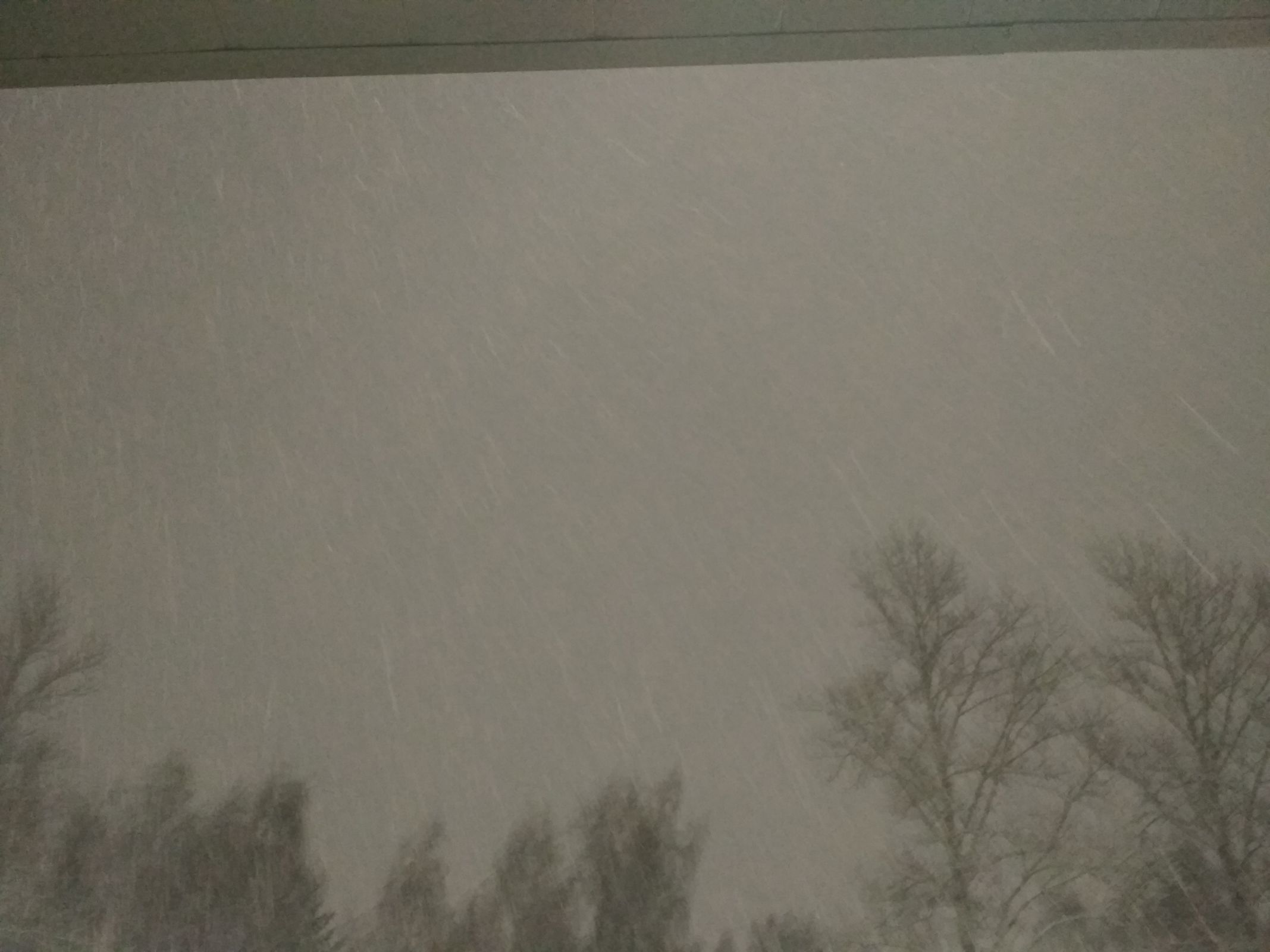 МЧС в Ярославской области предупредило жителей о мокром снеге и гололедице