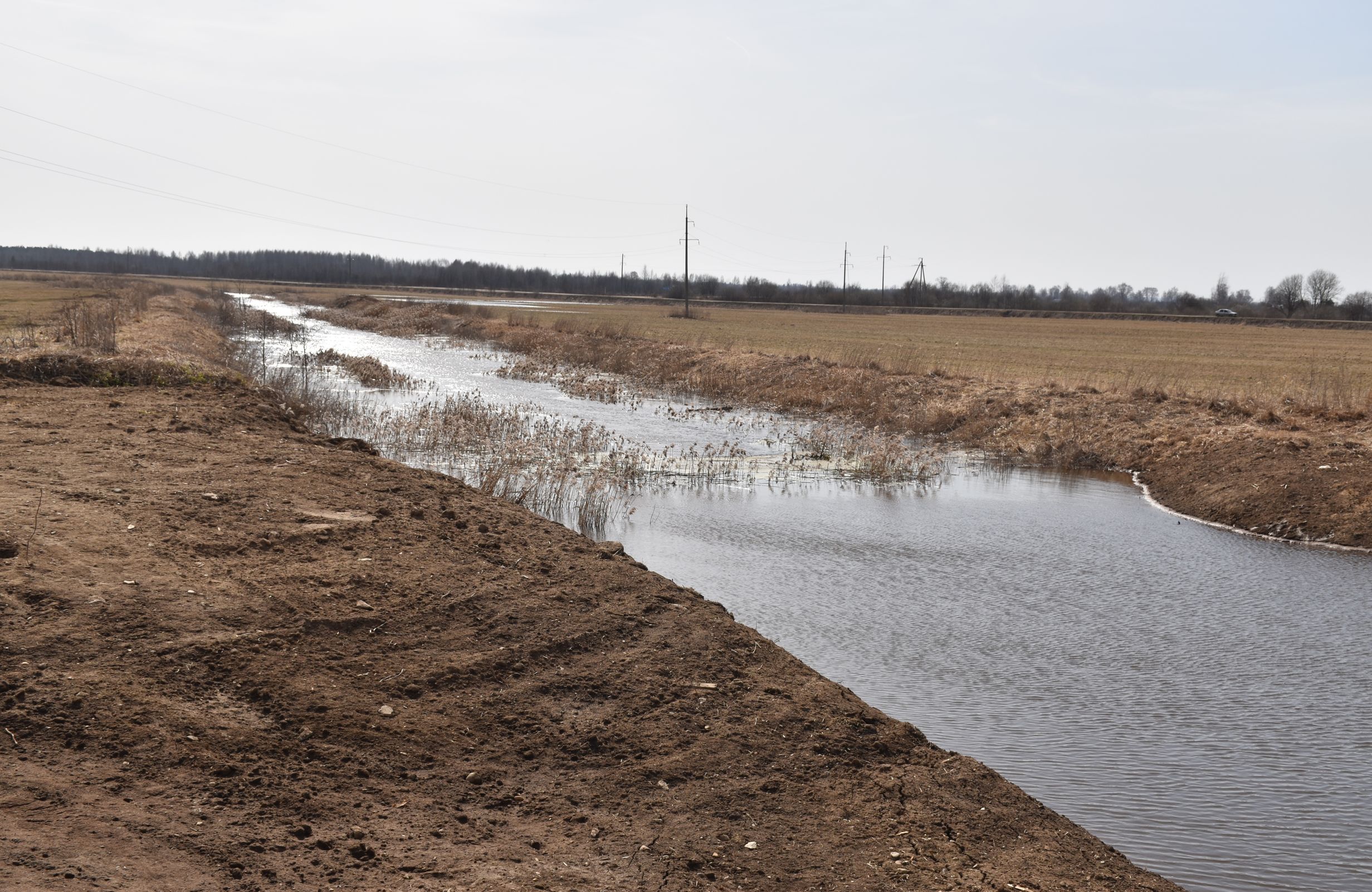 В Ярославской области усилена работа по взысканию недоимок за использование лесов