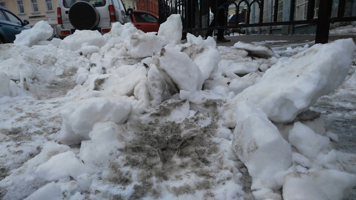 Депутаты областной Думы дали рекомендации мэрии Ярославля по уборке города от снега