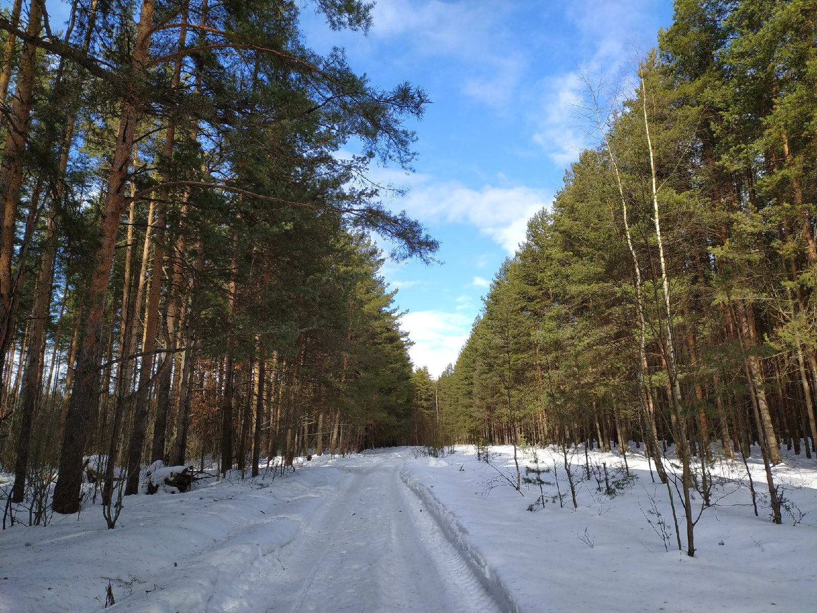 Апрельская погода: в Ярославской области потепление выходит на пик