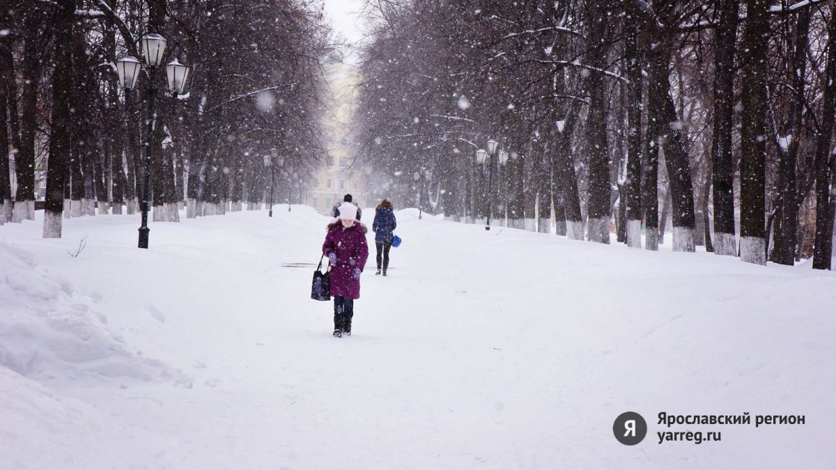 ГУ МЧС по Ярославской области опубликовало экстренное предупреждение о сильном снегопаде в регионе