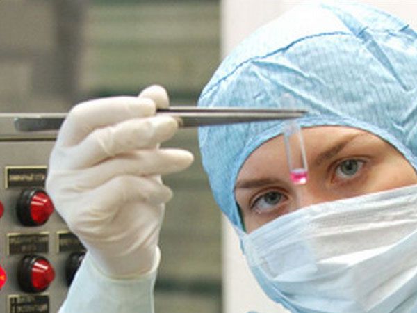 Домашний пес в Тутаеве скончался от бешенства