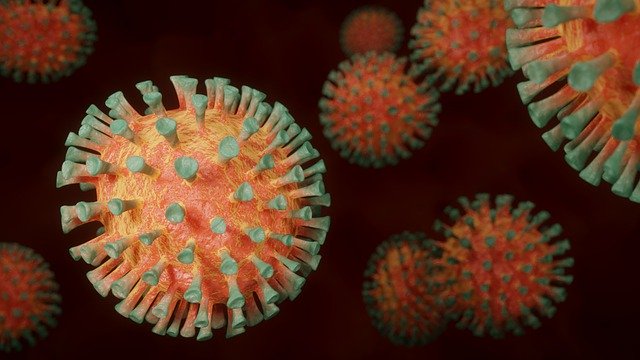 В Ярославской области выросло число выявленных случаев коронавируса