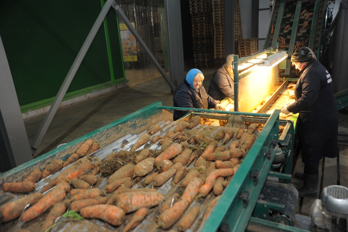 За два года экспорт ярославской пищевой продукции увеличился почти в два раза