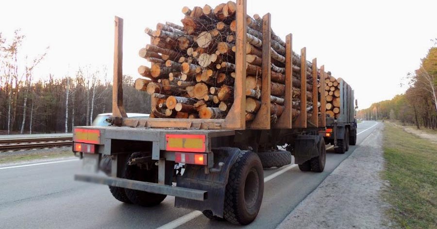Нарушители правил транспортировки древесины могут быть оштрафованы на сумму до 700 тысяч рублей